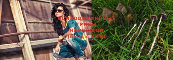 амфетамин Белокуриха