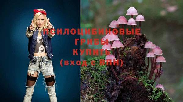 гашик Белоозёрский