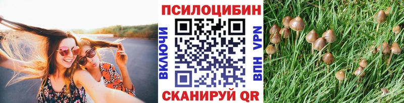 Псилоцибиновые грибы GOLDEN TEACHER  hydra ONION  Борзя 