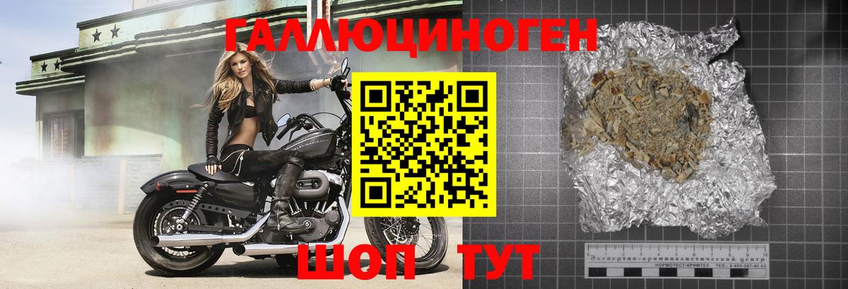 Борзя  Галлюциногенные грибы GOLDEN TEACHER  Вход с VPN 